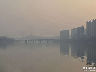 【身邊的小自然】隨手拍拍