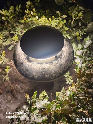 身邊的小自然 下雪啦