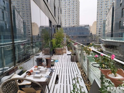 【身邊的小自然】陽(yáng)臺(tái)的風(fēng)景