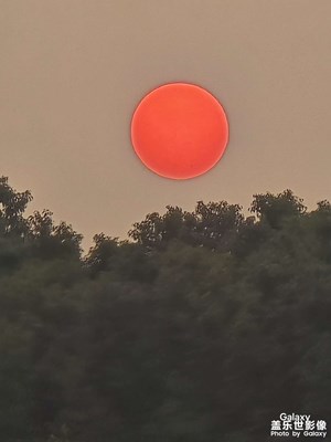 【身邊的小自然】+發(fā)現(xiàn)身邊美