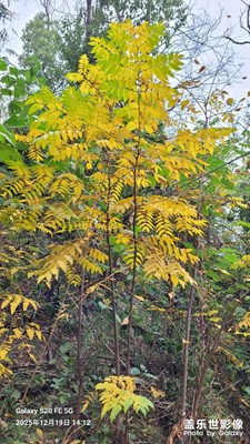 【身邊的小自然】+南北之景