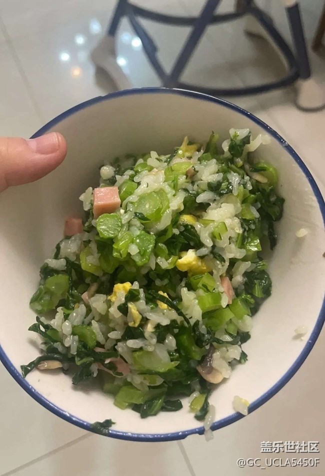 【寒天尋味】菜心炒飯