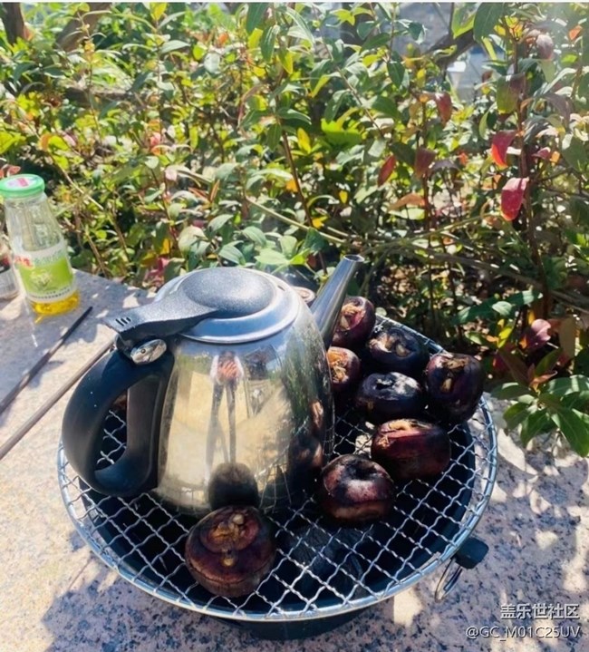 【冬日旅行色】午后時光