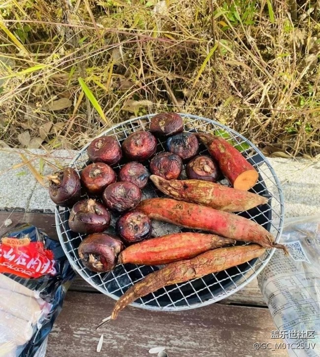 【冬日旅行色】午后時光