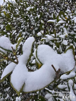 【身邊的小自然】+家鄉(xiāng)的白雪