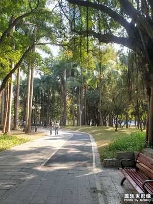 【身邊的小自然】午后公園