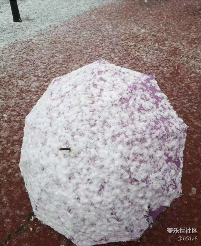 【冬日旅行色】下雪了