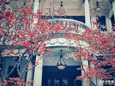 【身邊的小自然】+走走逛逛看看