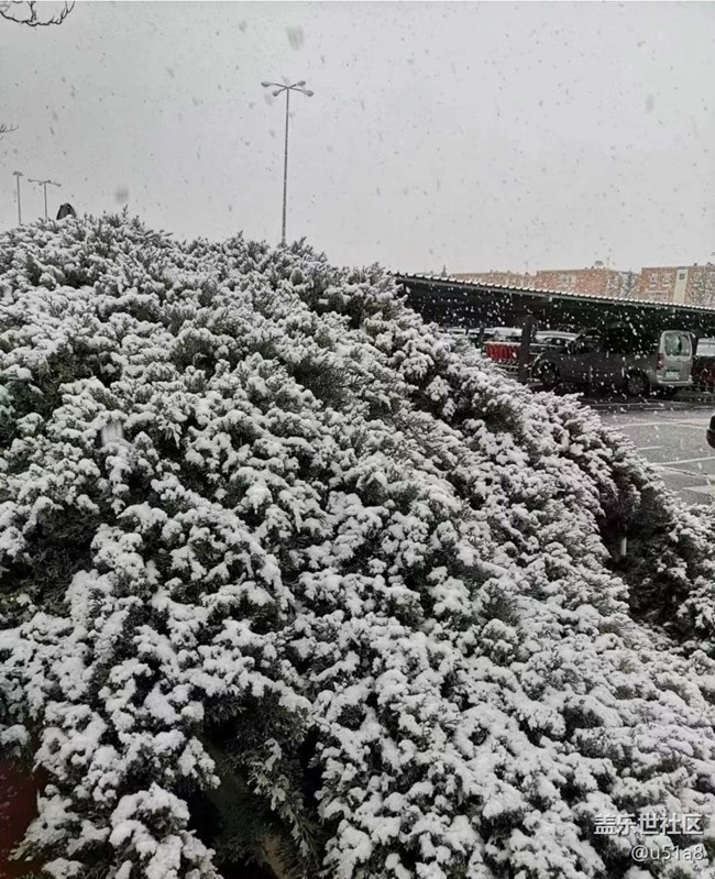 【冬日旅行色】下雪了