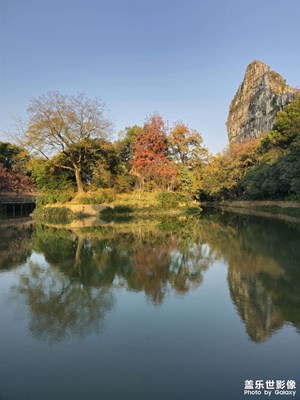 [身邊的小自然]南城冬暖秋未盡