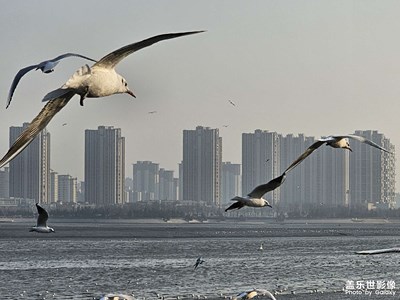 【身邊的小自然】身邊的美好