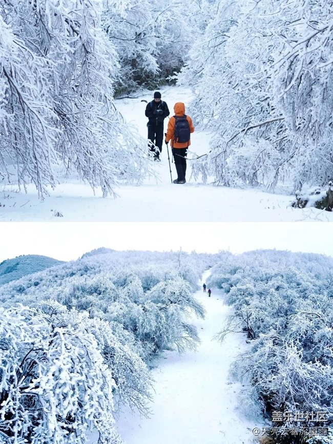 絕美高山冬景行
