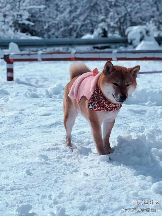 絕美高山冬景行