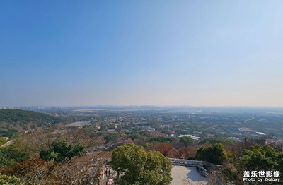 【身邊的小自然】登高望遠(yuǎn)