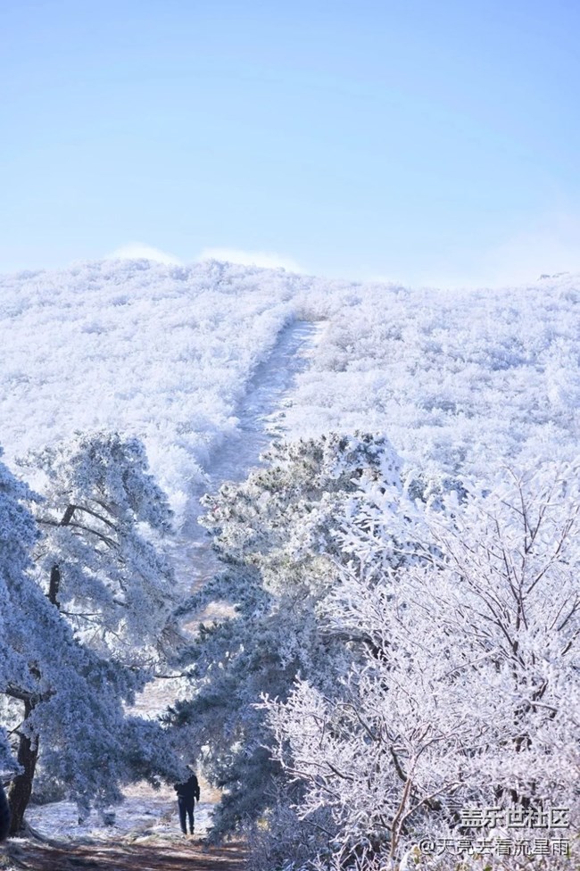 絕美高山冬景行