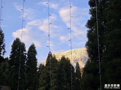 【身邊的小自然】自然景致