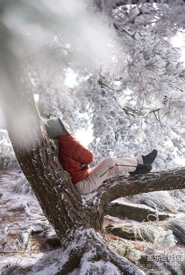 絕美高山冬景行