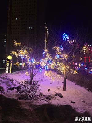 【身邊的小自然】+冬季水果