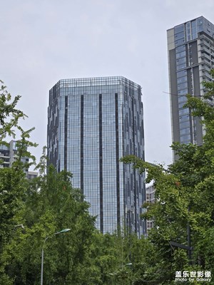 【身邊的小自然】走出門