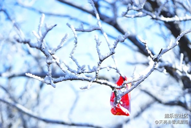 絕美高山冬景行