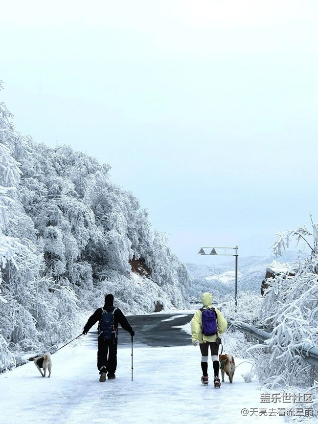 絕美高山冬景行