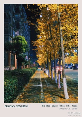 【換個(gè)角度看世界】冬夜暖燈下，銀杏把長(zhǎng)街鋪成金黃毯