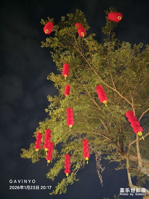 【換個(gè)角度看世界】大紅燈籠高高掛