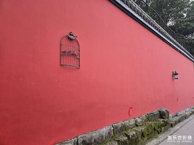 【換個角度看世界】隨手拍的日常