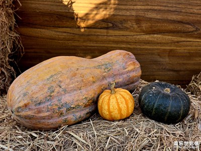 【換個角度看世界】