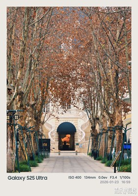 【換個(gè)角度看世界】梧桐深處的法式城堡，藏著成都的冬日溫柔