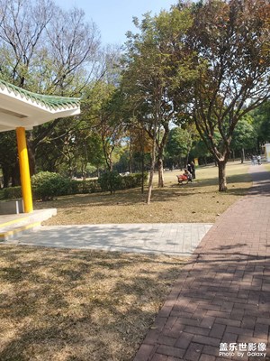 【換個(gè)角度看世界】冬日公園