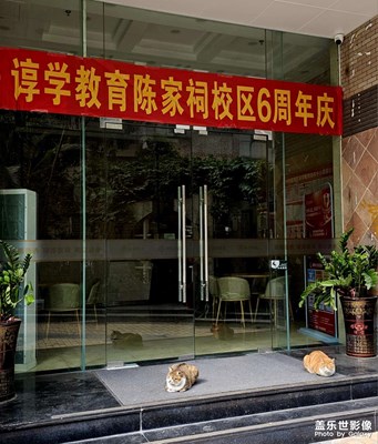 守門口的貓家伙