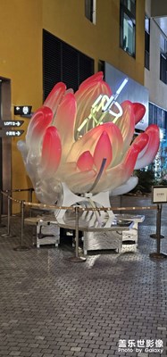 【換個角度看世界】光影的世界