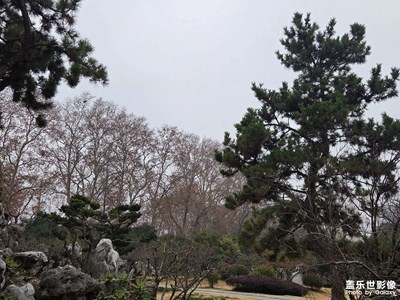 【換個(gè)角度看世界】園林風(fēng)光