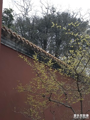 【換個(gè)角度看世界】冬天