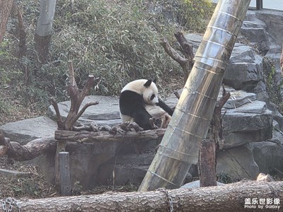 【換個(gè)角度看世界】可愛(ài)的動(dòng)物