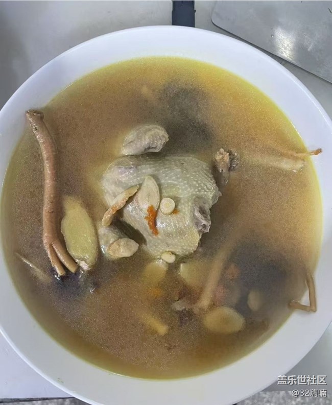 【食暖朝夕】燉鴿子