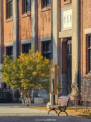 Galaxy S23 Ultra 冬光街影（一）