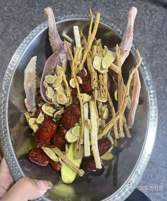 【食暖朝夕】燉鴿子