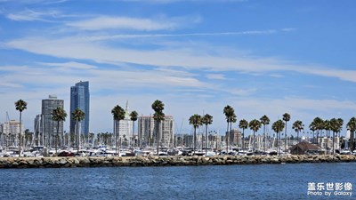 八月美國(guó)之行