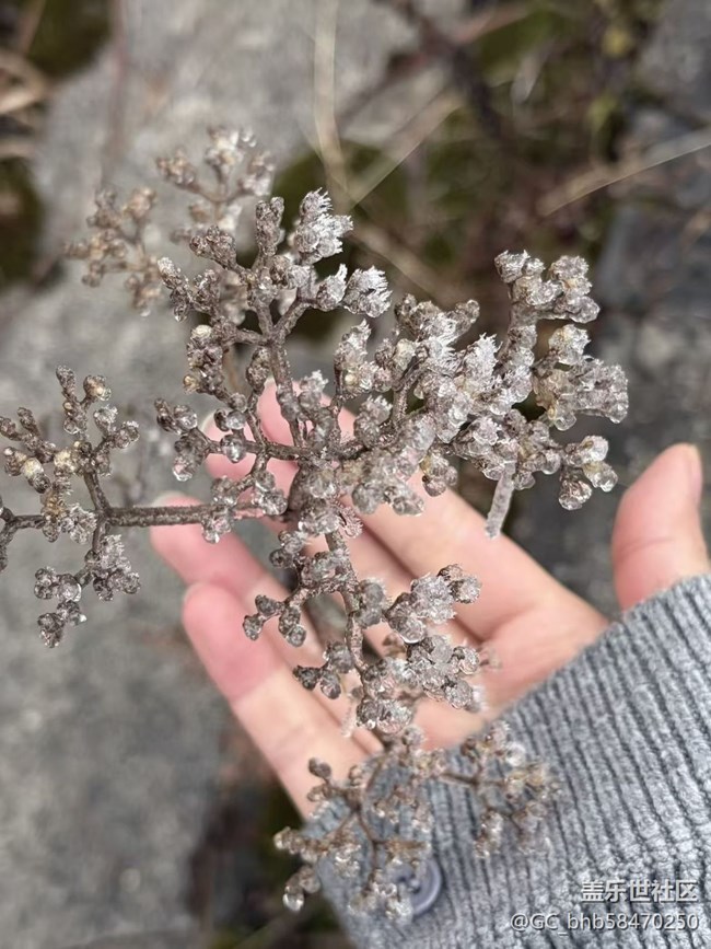 【早春第一站】賞霧凇