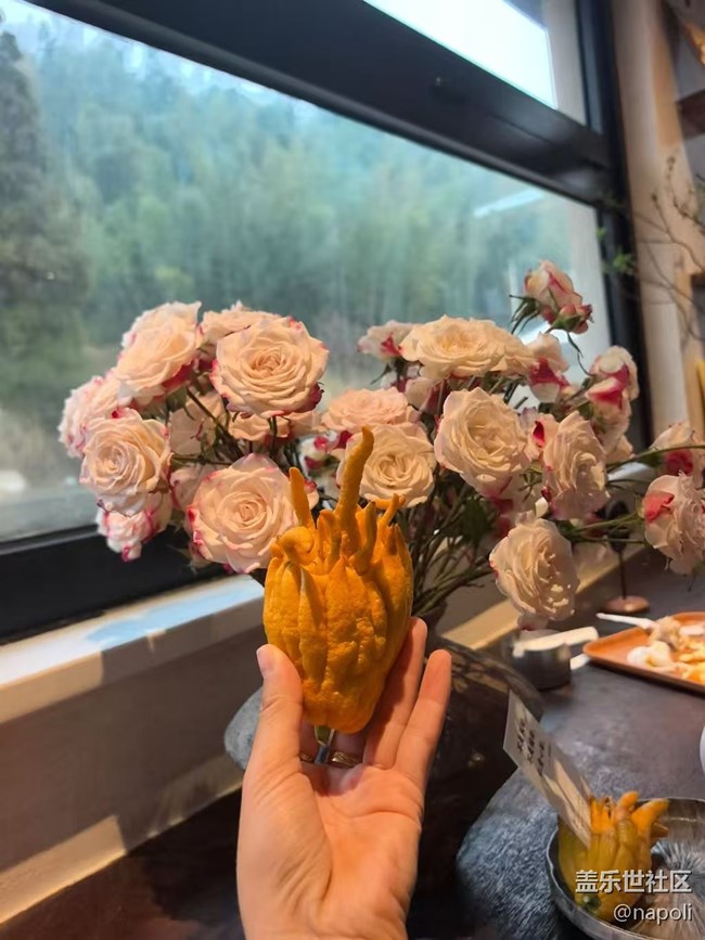 【早春第一站】開心游玩