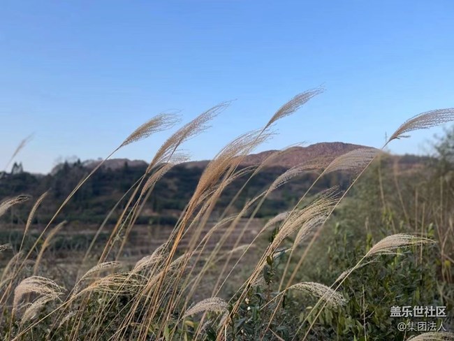 【早春第一站】爬山賞景