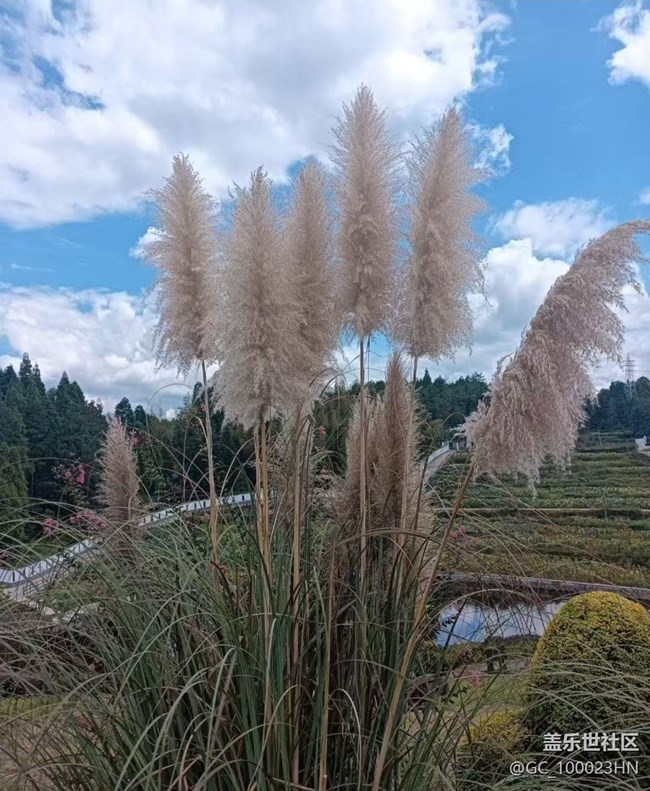 【早春第一站】家門口的風(fēng)景