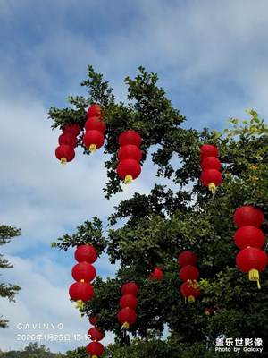 【換個(gè)角度看世界】燈籠高掛，幸福年年