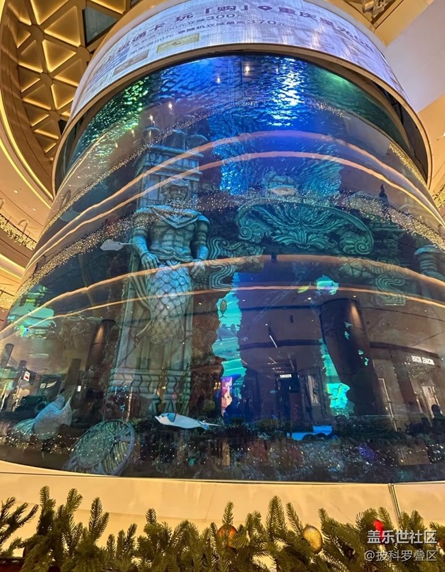 【早春第一站】逛吃重慶