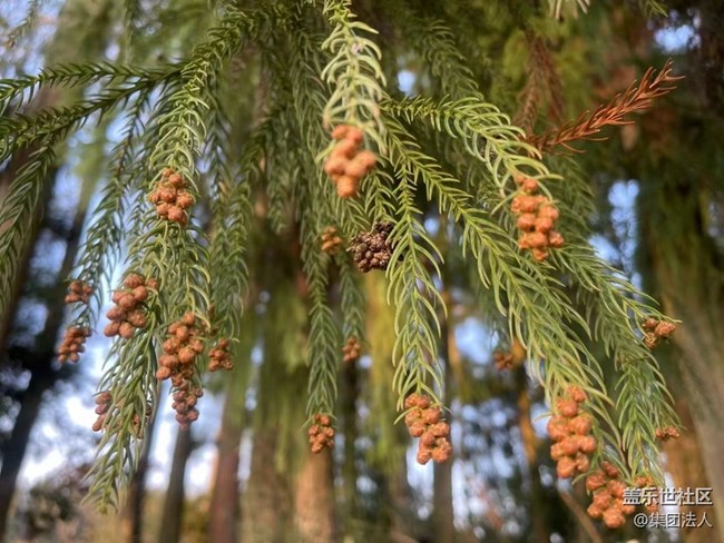 【早春第一站】爬山賞景