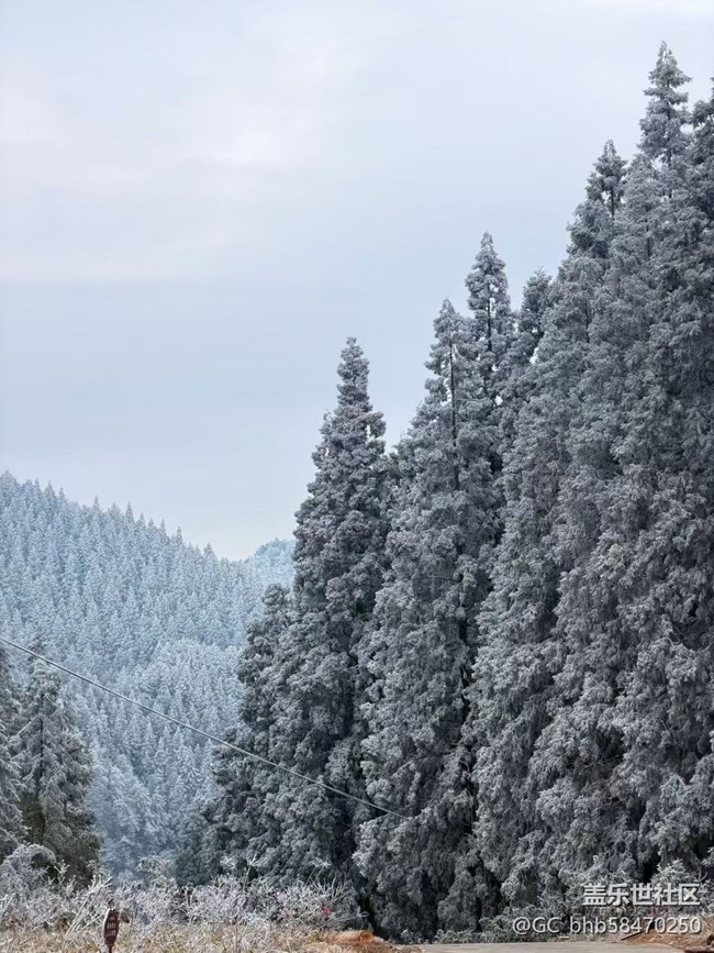 【早春第一站】賞霧凇