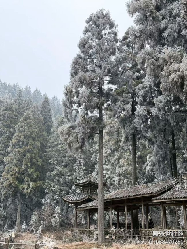 【早春第一站】賞霧凇