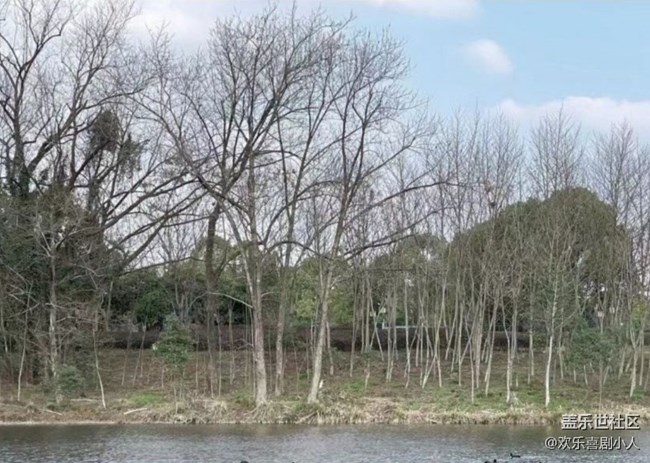 【早春第一站】一片蕭瑟